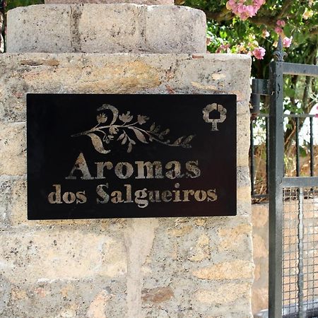 فيلا Aromas Dos Salgueiros كاستيلو دي فيدي المظهر الخارجي الصورة