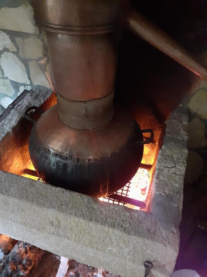 فيلا Aromas Dos Salgueiros كاستيلو دي فيدي المظهر الخارجي الصورة